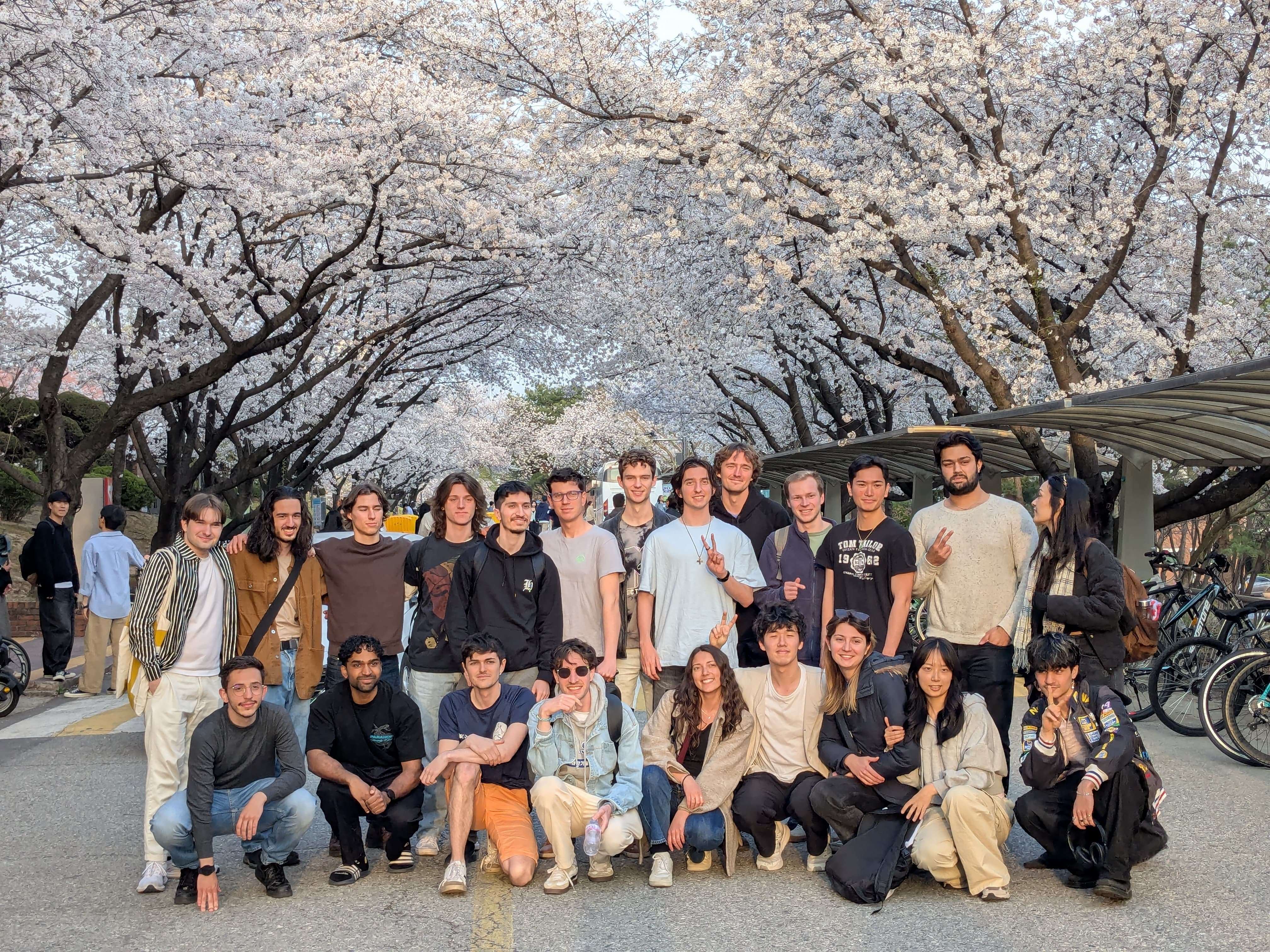 Group picture cherry blossom